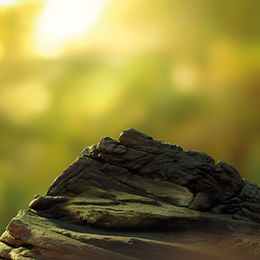 background Amarelo terea tranzitie